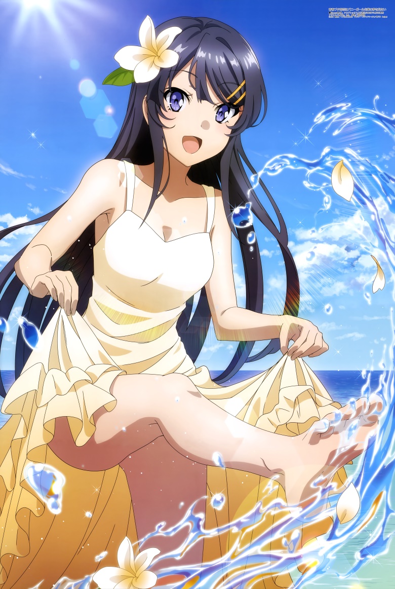 [megami] 2019年5月号图集 动画官方绘